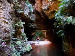 62_06 Claustral Canyon, NSW.JPG