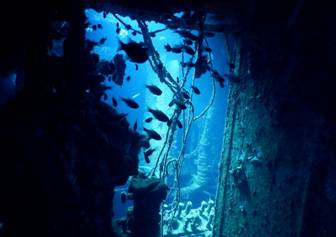 44A Wreck dives. Fiji (Apr. 2017).JPG