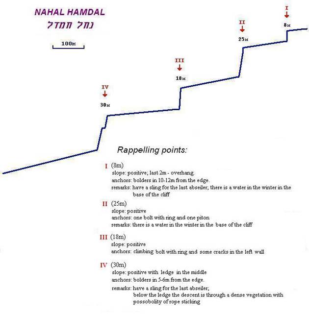nahal Hamdal_profile_eng