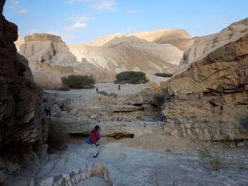 Halamish 5th fall to end 4