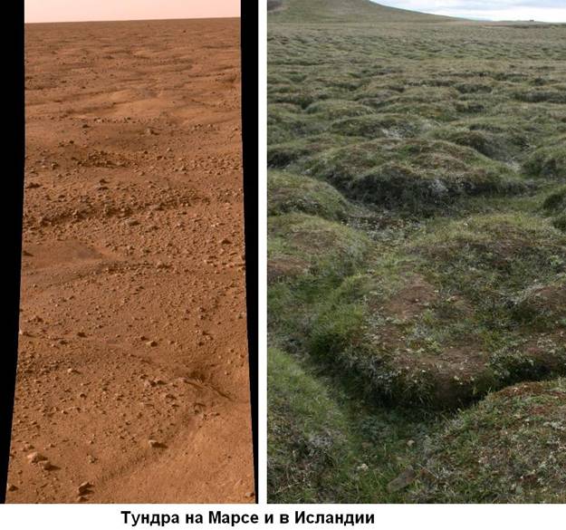 05 Phoenix_poligons.jpg