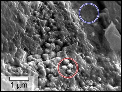 02 bac_yamato-mars-meteorite-spheres-2.jpg