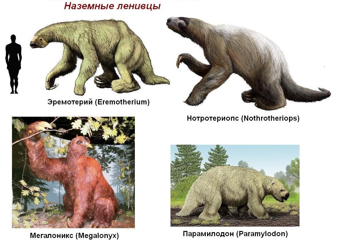3.3 North America.jpg