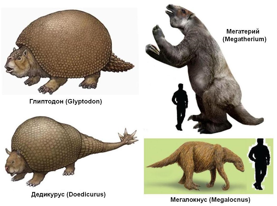 4.1 South America.jpg