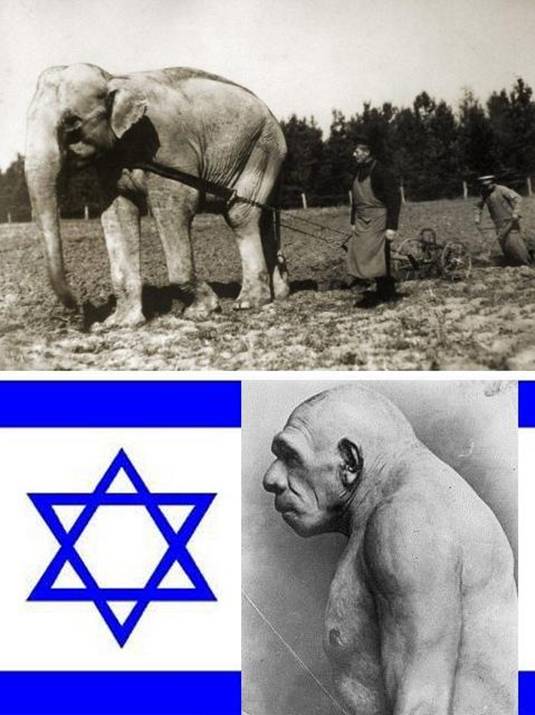 01 motherland of elephats.jpg