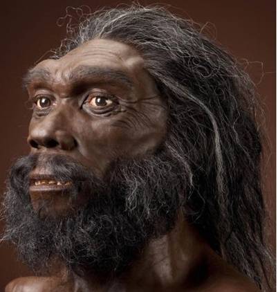 24 Gesher B Y - homo heidelbergensis.jpg