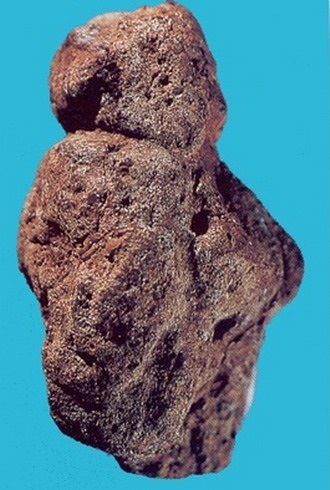 43 Berekhat Ram - the Venus.jpg