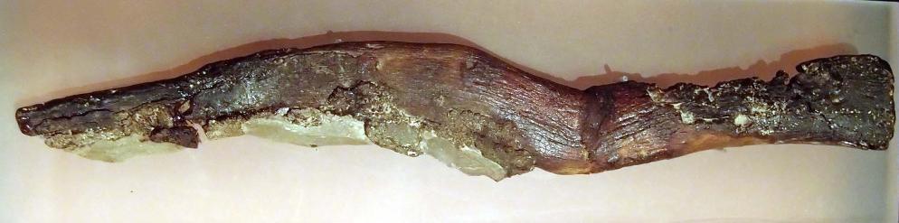 82 oldest sickle.JPG