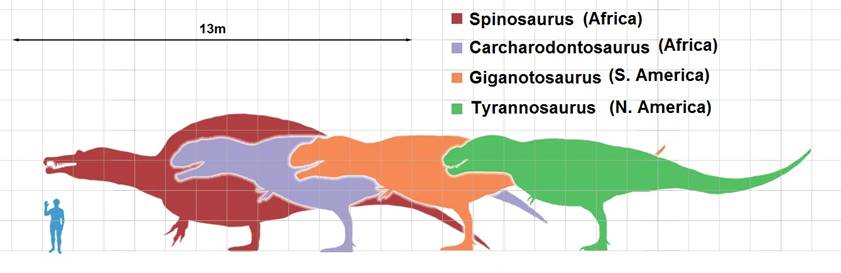 112 Largest theropods