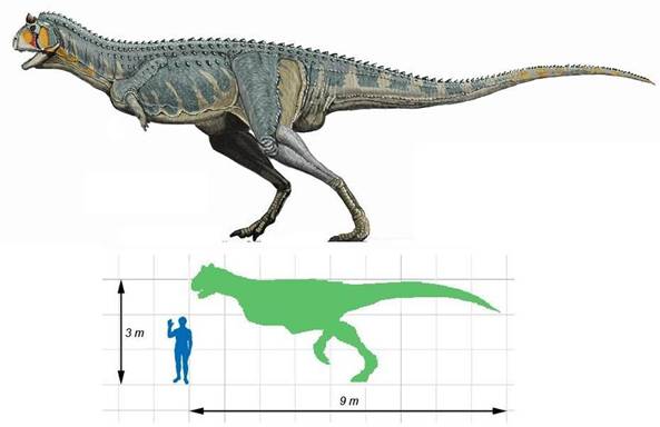 154 Carnotaurus size