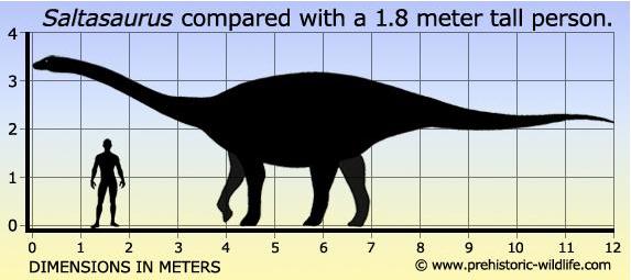 172 Saltasaurus size