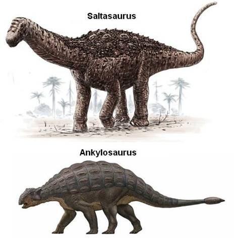 173 Saltasaurus & Ankylosaurus