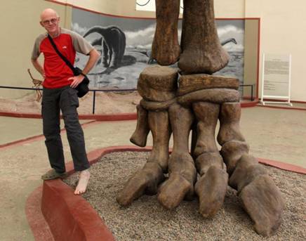 192 Argentinosaurus foot
