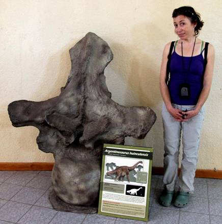 192 Argentinosaurus spine