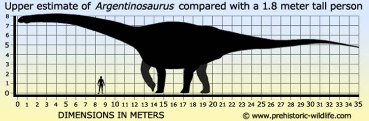 197 Argentinosaurus size