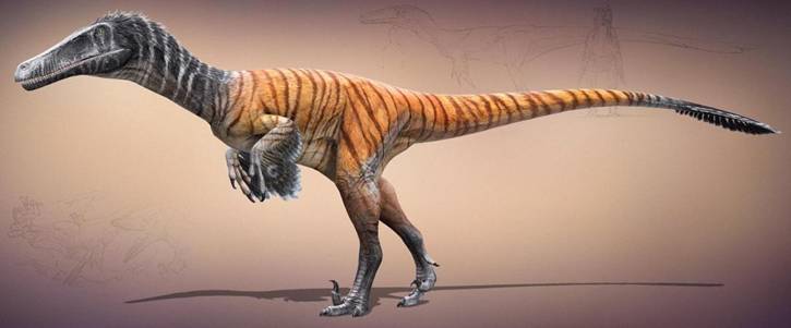 223 Austroraptor reconstr