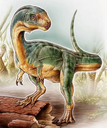 241 Chilesaurus reconstr
